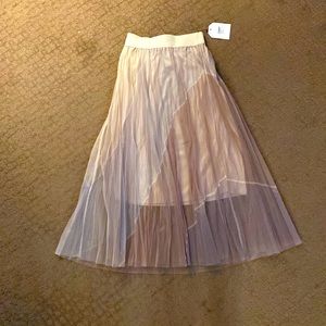 Tulle skirt- neutral for spring. Goes with t shirt, tank top , or sweater 🤩